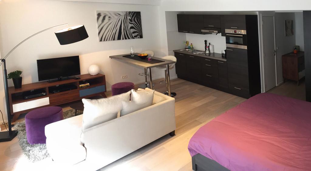Flat Moliere Daire Brüksel Oda fotoğraf